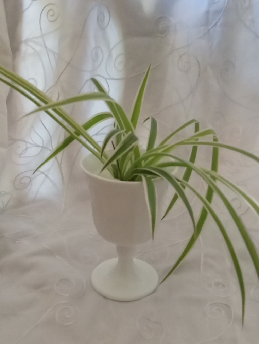 Vintage Indiana Milk Glass Grapevine Goblet With Airplane Plant